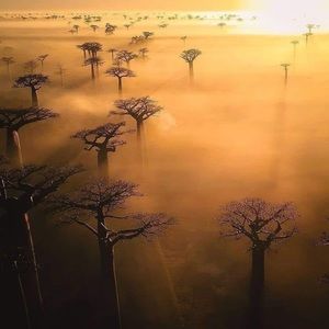 Meet your Posher, Derek